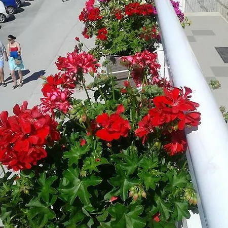 Apartament Andela *